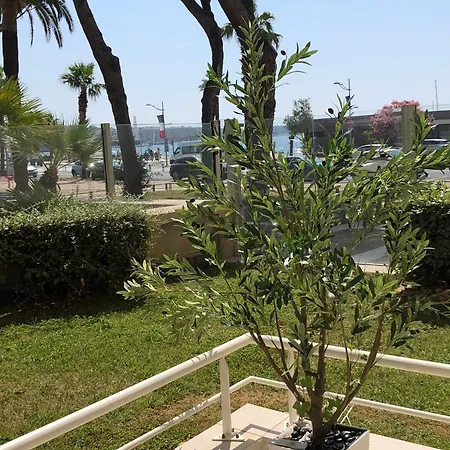 T2 & Garage Front De De Standing アパート *