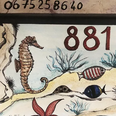 Daire T2 & Garage Front De De Standing *